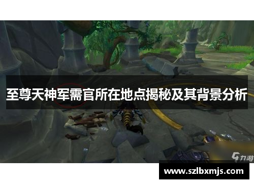至尊天神军需官所在地点揭秘及其背景分析