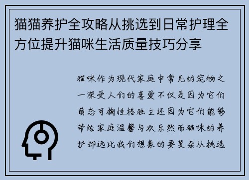 猫猫养护全攻略从挑选到日常护理全方位提升猫咪生活质量技巧分享